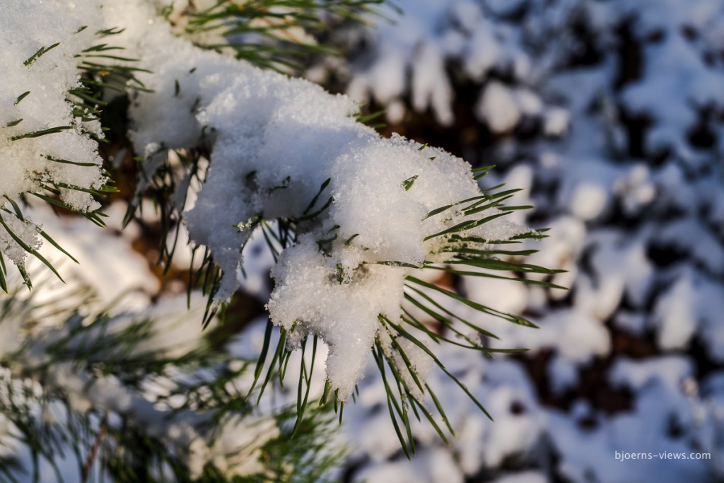 Ja, es gab wirklich Schnee