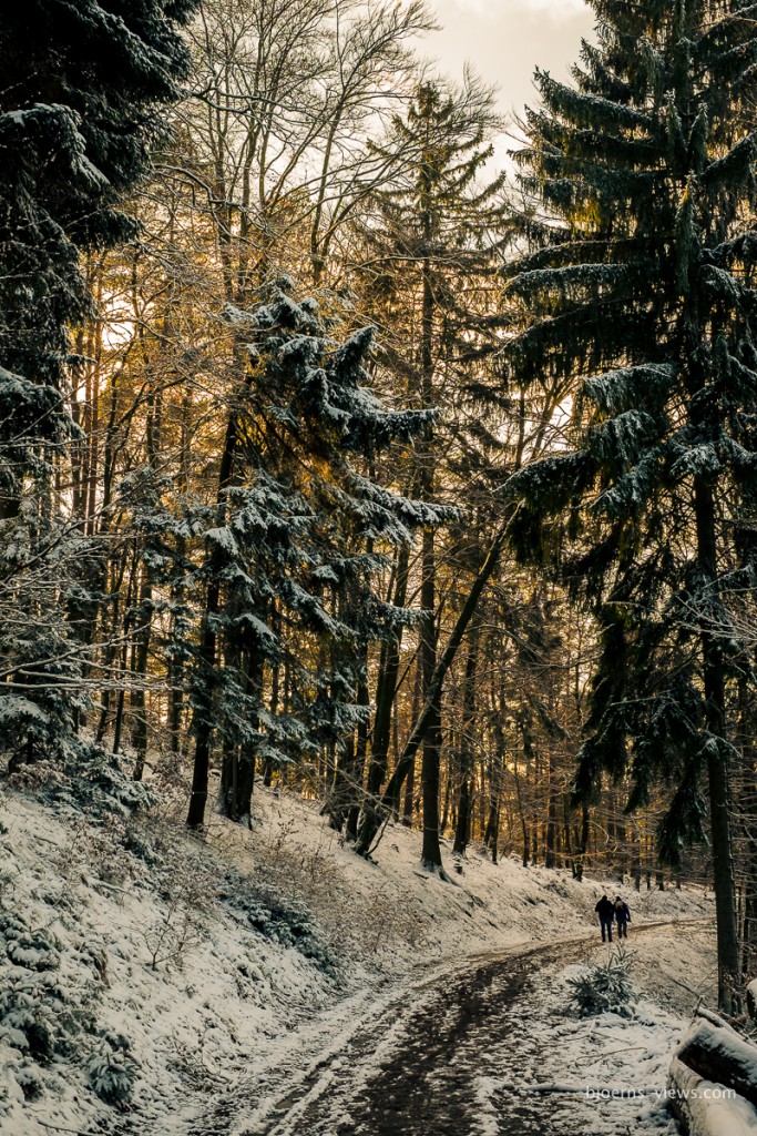 Abendliche Winderlandschaft