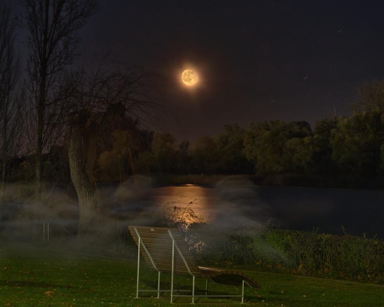 Vollmond am Altrhein