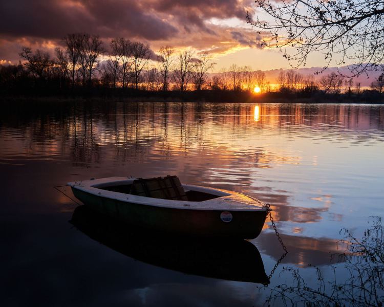Sonnenuntergang am Altrhein
