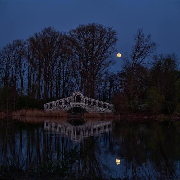 Vollmond an der Altrhein-Brücke