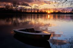 Sonnenuntergang am Altrhein