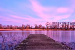 Brennender Himmel am Altrhein II