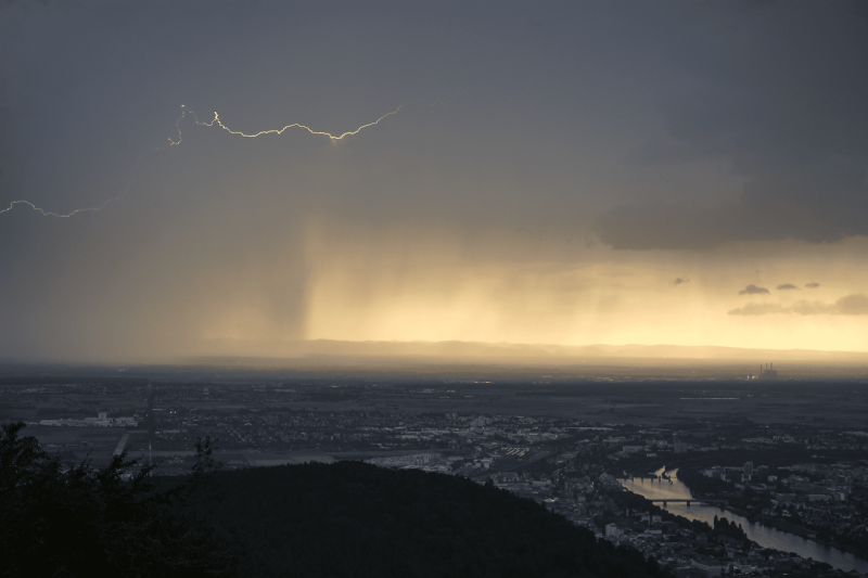 20190810_dscf0106_optimized