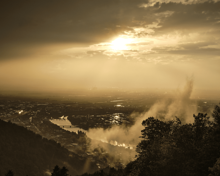 20190810_dscf4455_optimized