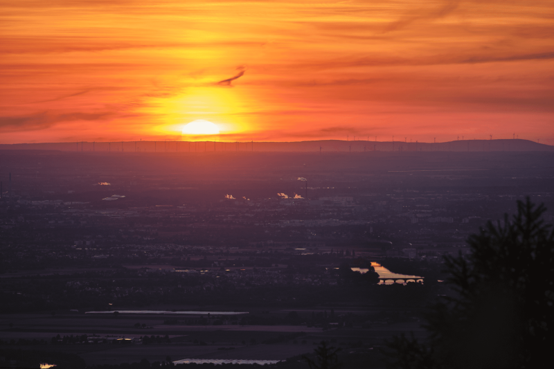 20200531_dscf0762_optimized