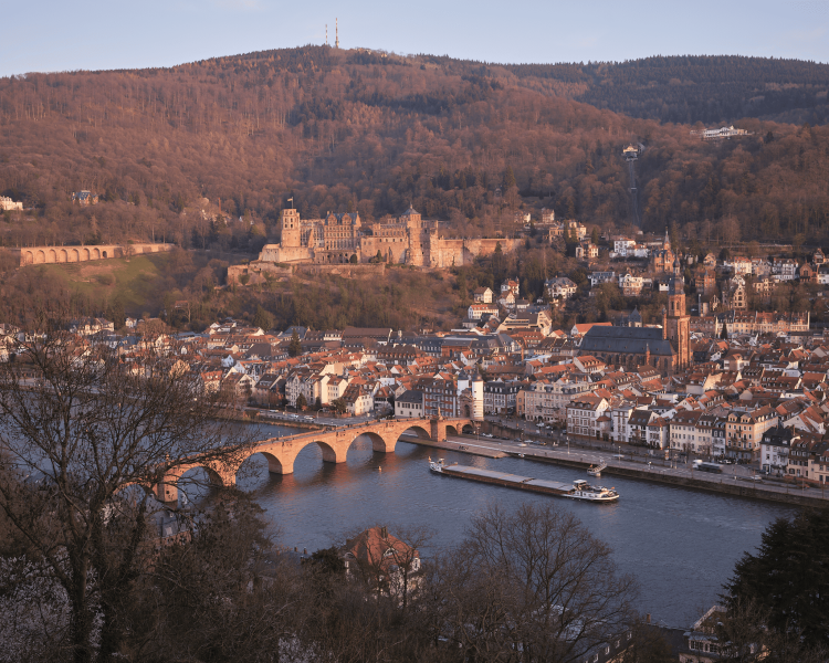 20210325_dscf9919_optimized