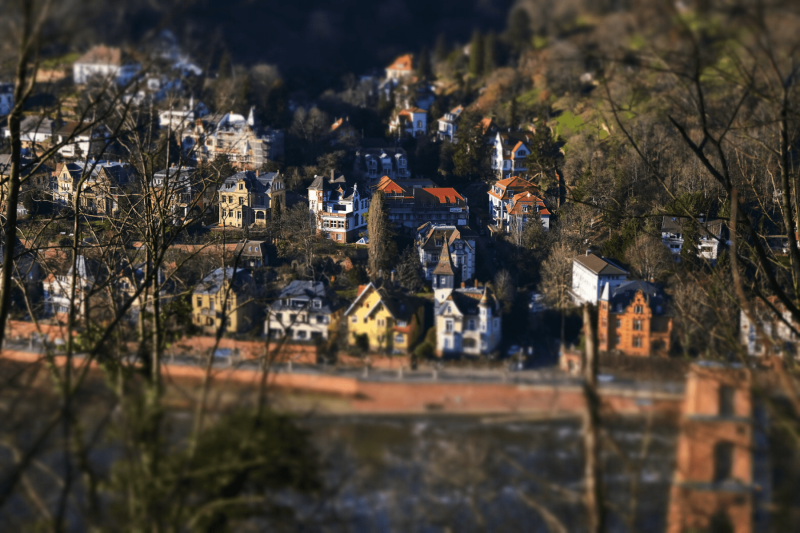 20230212__dsf0426_optimized