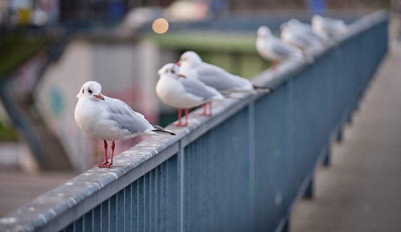 20200111_20200111_DSCF0169