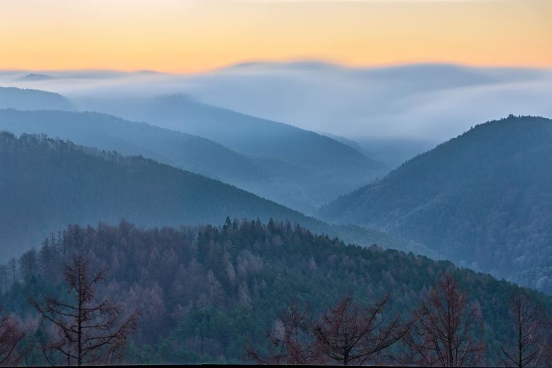 20220115_DSF0511_Panorama