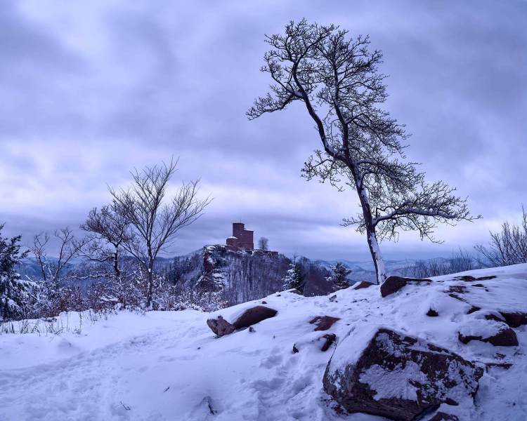 20230121__DSF8551_Panorama